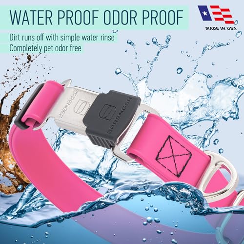 Biothane Waterproof Dog Collar with Herm Sprenger Stainless Steel Quick Release Buckle (W 1" x L 15"-25" / Passionfruit Pink)