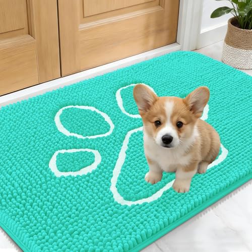 Dog Door Mat for Muddy Paws 24x16 (Teal / 24" X 16")