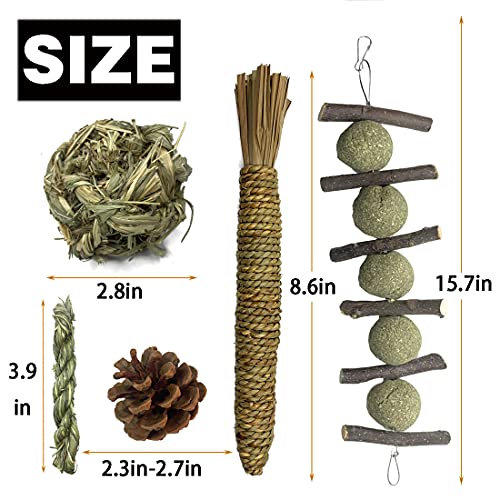 Rabbit Seagrass Mat Bunny Chew Toys for Teeth Hanging Activity Mat Rabbit Enrichment Activity Mat Small Animal Toys for Hamster Guinea Pigs Gerbil Birds (B)