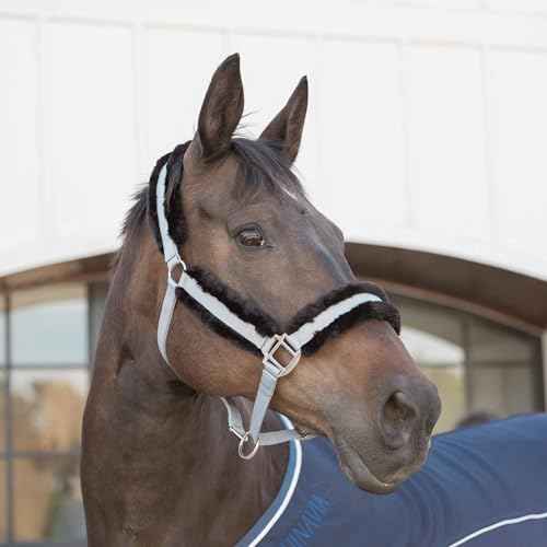 Valkyrie Ultra Fleece Padded Leather Fuse Breakaway Horse Halter (Slate Grey/Black / Cob)