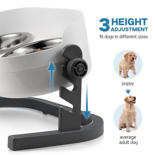 Elevated Dog Bowls (Large)