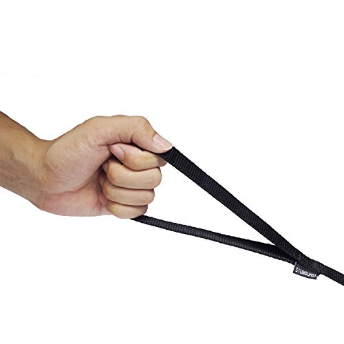 Dog Puppy Obedience Recall Training Agility Lead (Black / 15 Feet)