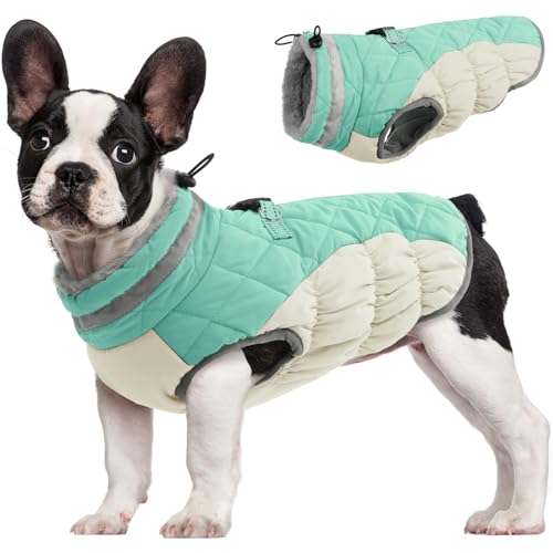 Dog Coat for Small Dogs (Mint Green / S(chest:17in))