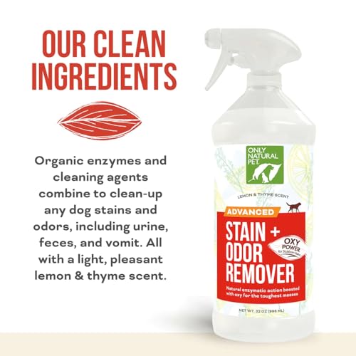 Advanced Stain & Odor Eliminator (32oz (Pack of 1))
