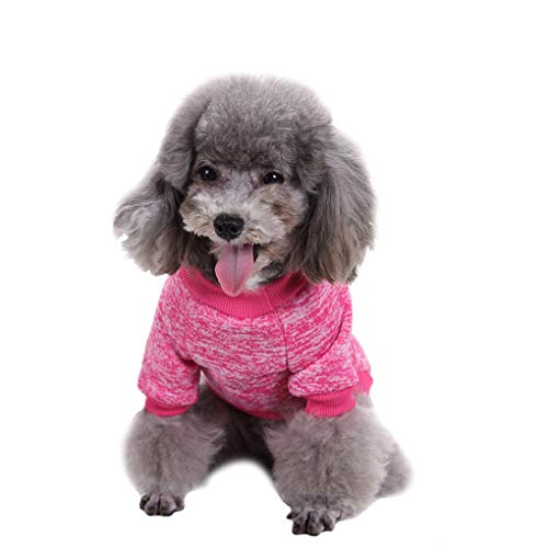 Dog Sweaters for Small Dogs (Rose red / Medium)