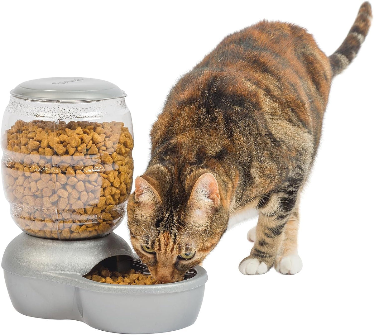 Replendish Automatic Cat and Dog Feeder (Pearl Silver Grey / 2 LB)