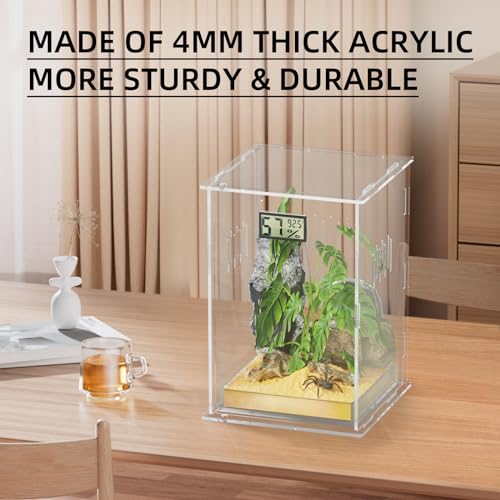 Reptile Terrariums (Arboreal--L (Tray))