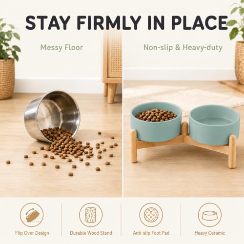 Ceramic Dog Bowls Elevated (Light Green)