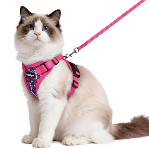 Cat Harness and Leash Set (M / Coconut Fuchsia)