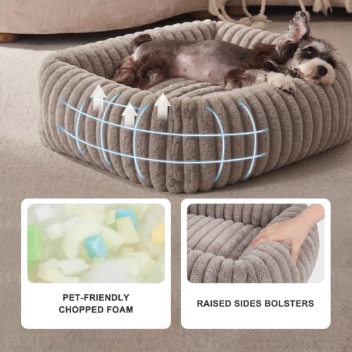 Dog Bed for Small Dogs (Khaki / S (20"x19"x6"))