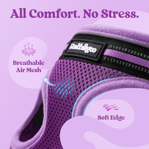 Cat Harness and Leash Set (L / Purple-Light Purple)