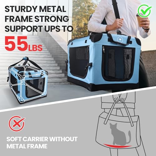 Extra Large Cat Carrier (Teal)