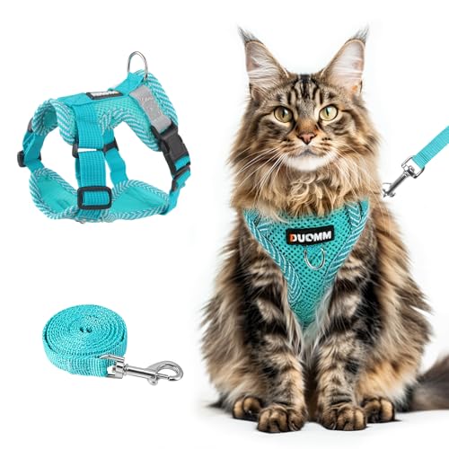 Cat Harness and Leash Set (Emerald / XL)