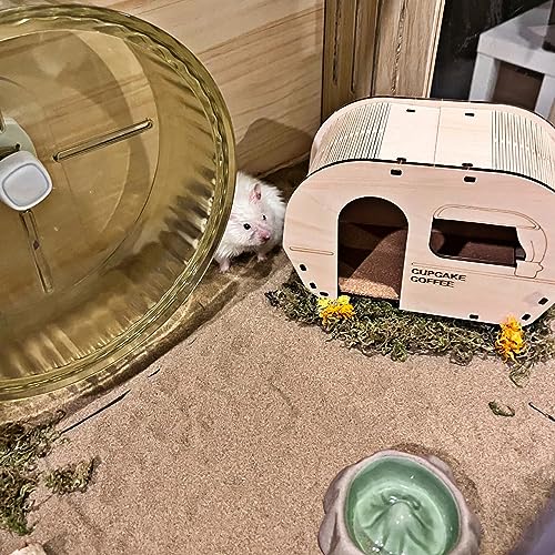 12lb Hamster Sand for Sand Bath (Beige / 12lb)