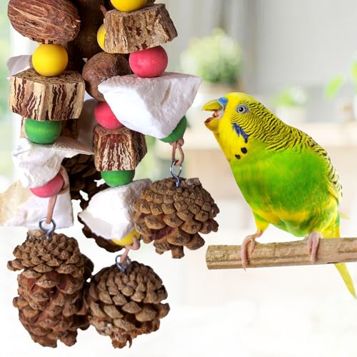 Parrot Chew Toys