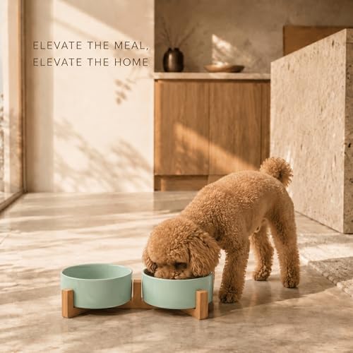 Ceramic Dog and Cat Bowl Set with Wooden Stand (1.7 cups / Morandi Green × 2)
