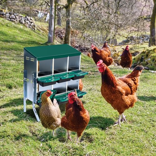Chicken Nesting Box (Green- 6 compartment with legs)