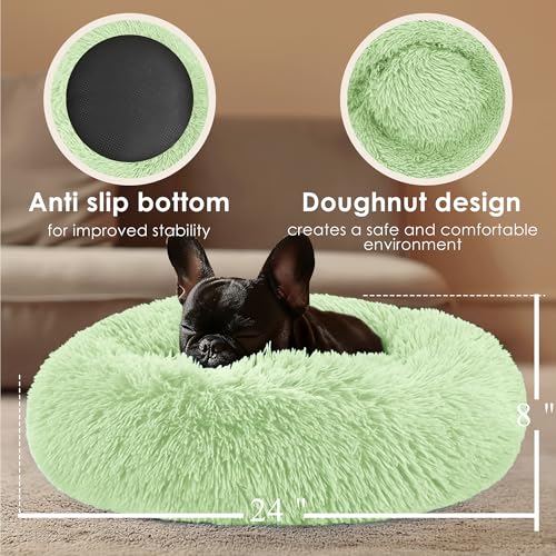 Dogs Bed for Small Dogs (Green / 24.0"L x 24.0"W x 8.0"Th)