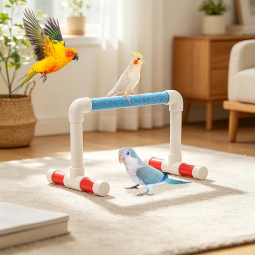 Small Bird Parrot Stand Perch Table Top Stand Playground Grind Perch Swing Training Playstand Exercise Chew Toys for Budgies Parakeet Cockatiel Conure Finch (L)