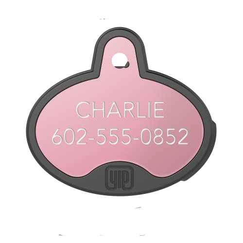 ID & Custom Engraved Dogs Tracker (Rose Gold)