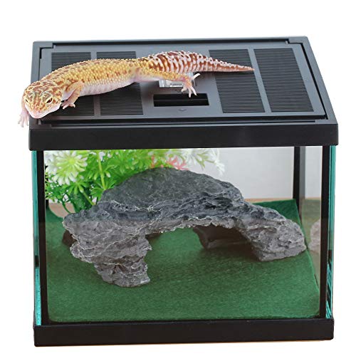 Glass Lizard Tank (L7.8 x W7.8 x H5.9 inches / Black)