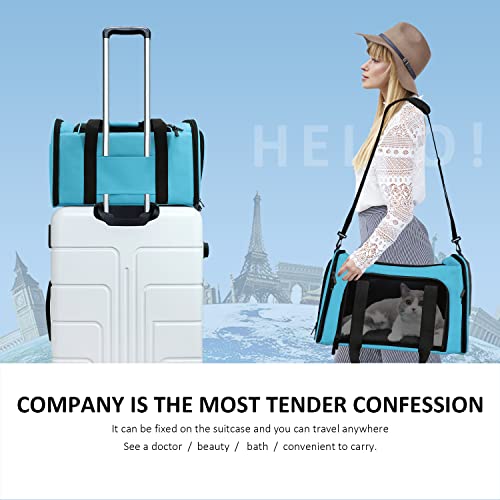 Large Cat Carriers Dog Carrier Pet Carrier for Large Cats Dogs Puppies up to 25Lbs (20.0"L x 13.0"W x 13.0"H / Blue)