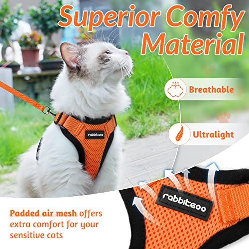 Cat Harness and Leash Set (Xs / Orange)