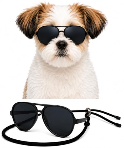 G029 Dog Pet Aviator Pilot Costume Sunglasses Small Breed (Small, up to 15 lbs, 2-pk Aviator Black+ 80s BLK)