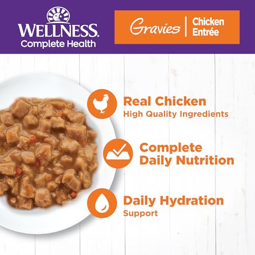 Complete Health Gravies Adult Canned Wet Cat Food (5.5 Ounce (Pack of 12))