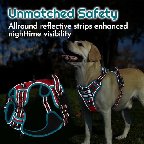 Dog Harness No Pull for Medium Dogs (Medium / Red & Teal)