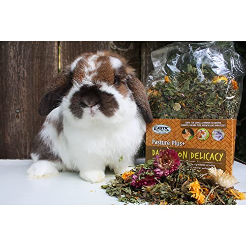 Pasture Plus+ Dandelion Delicacy