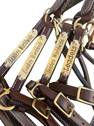 Leaders 3 4" Leather Halter for Horses with Customized Engraved Name Plate Brown Leather with Solid Brass Hardware (Mini)