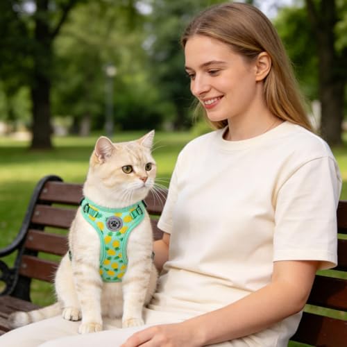 Cat Harness and Leash Set (Pineapple Green / M (Chest: 12 - 19"))