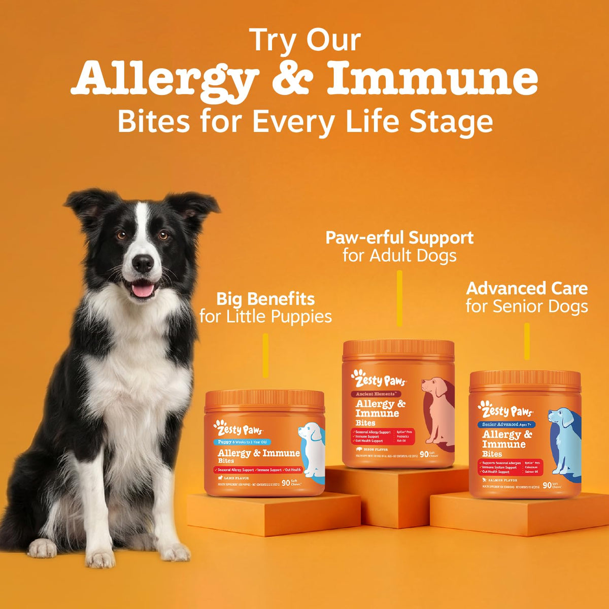 AE Dog Allergy Chews (90 Count (Pack of 1) - Standard)