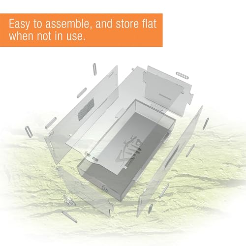 Micro Habitat Terrarium (Large / Terrestrial / Clear)