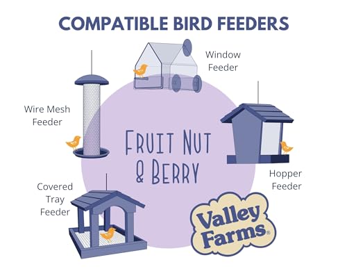 Fruit Nut & Berry 4 LB 2 (4 Pound (Pack of 2))