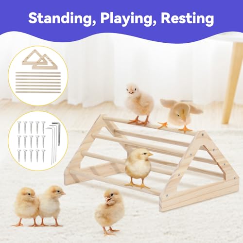 Chick Brooder Box for Chick Starter Kit (Z-Red+Black)