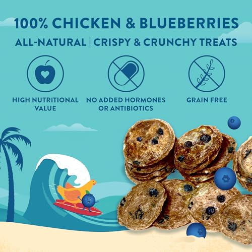 Chicken Blueberry Chips Dog Treats (3 Ounce)