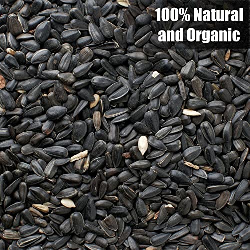 Wildlife Black Oil Sunflower Seeds for Birds and Wildlife