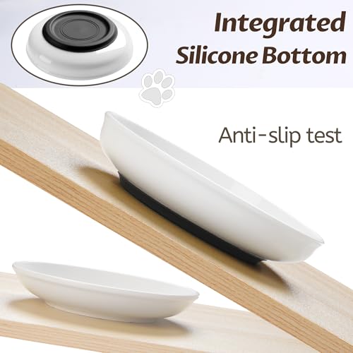 No Spill Cat Bowls (Deeper-6 Pack)