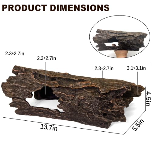 Bearded Dragon Hide