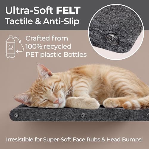 Cat Wall Shelf (Charcoal / 1 Long Cat Climber)