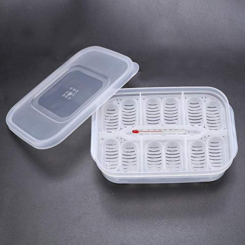 Reptile Breeding Box