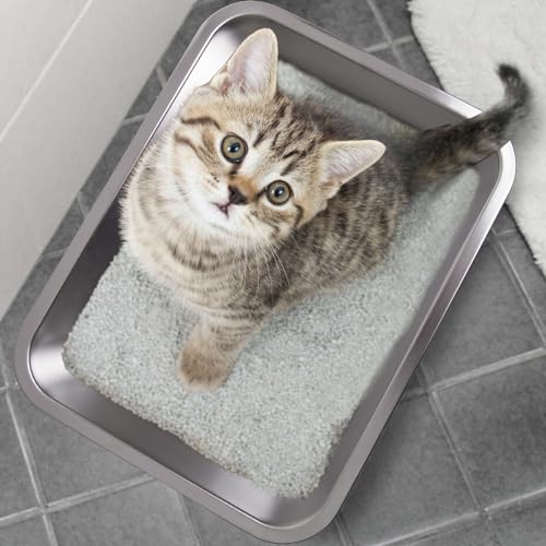Stainless Steel Litter Box for Kitten (2packs-M-4" H)