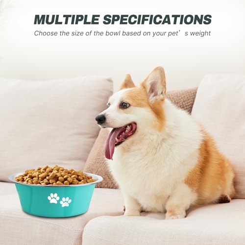 Stainless Steel Dog Bowls (Green / 6.6 Cups/53 OZ)