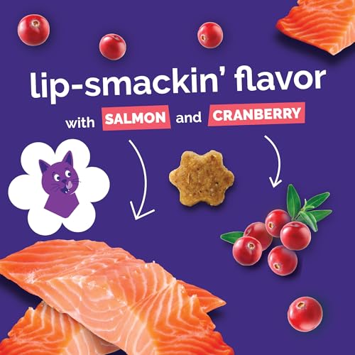 Crunchy Cat Treats (2.5 Ounce (Pack of 1) / Salmon & Cranberry)