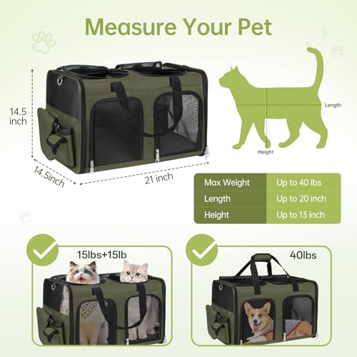 Cat Carrier for 2 Cats Double Pet Carrier Extra Large Green 2026 Upgraded (Green Upgraded)