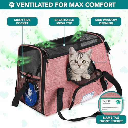 Airline Approved Pet Carrier Cat Small Dogs (Light Red / 19.5"L x 10.2"W x 12.0"H)