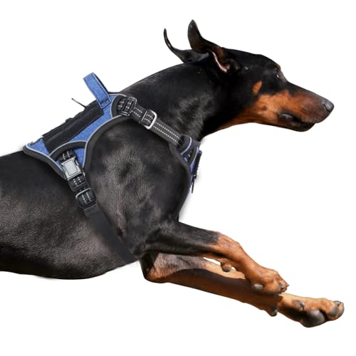 Tactical Dog Harness for Small Dogs No Pull (Denim Blue / XL(Neck:22-31", Chest:23-42"))