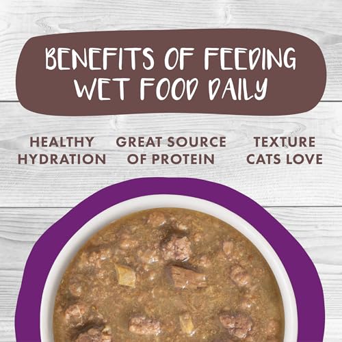 Classic Stew Cat Food (3 Ounce (Pack of 12))